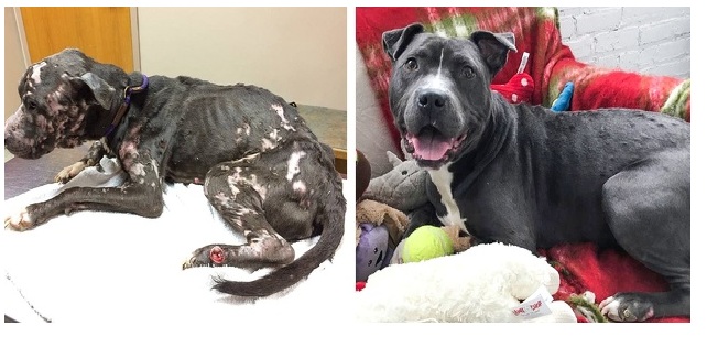 Zdroj : brightside.me