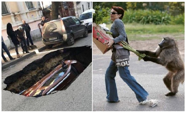 Zdroj : brightside.me