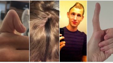 Zdroj : brightside.me