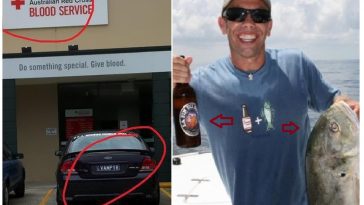 Zdroj : brightside.me