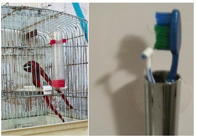 Zdroj : brightside.me