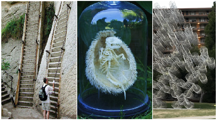 Zdroj : brightside.me