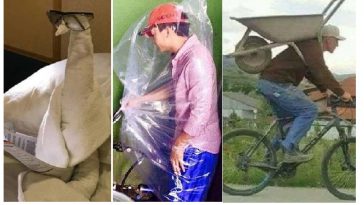 Zdroj : brightside.me