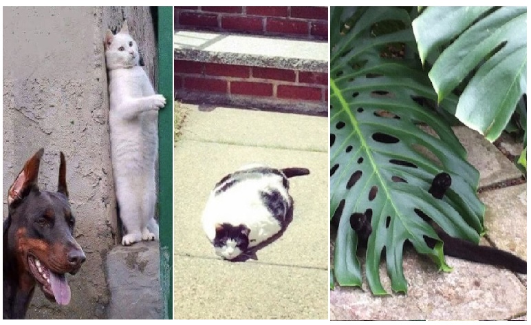 Zdroj : brightside.me