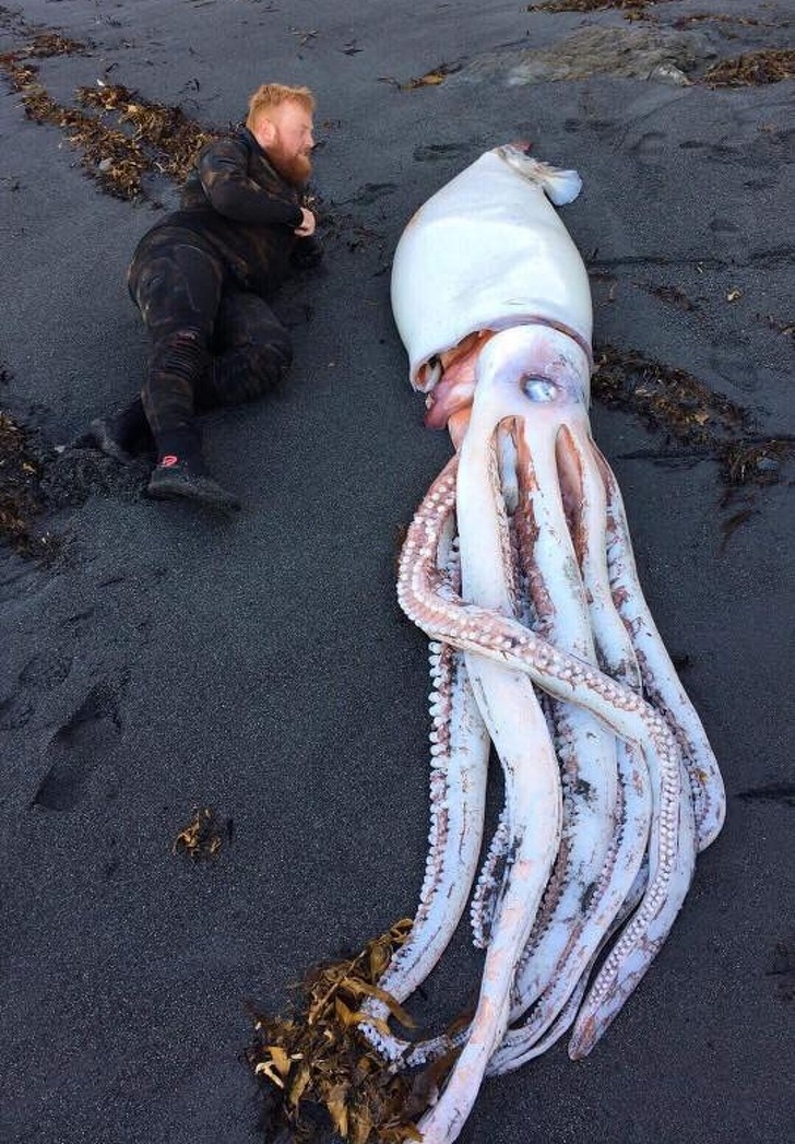 Zdroj : brightside.me