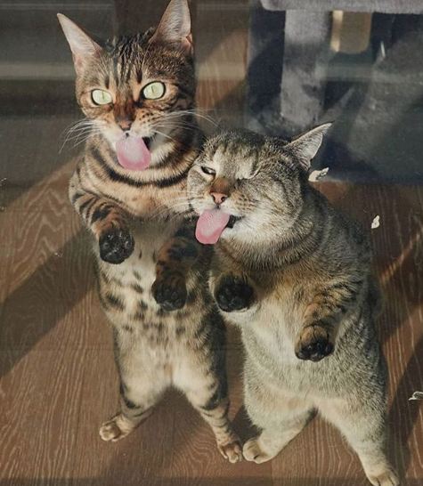 Zdroj : brightside.me