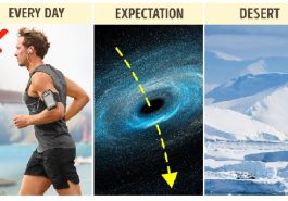 Zdroj : brightside.me