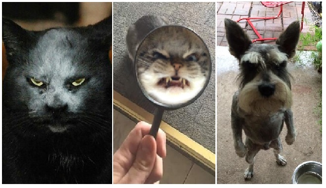 Zdroj : brightside.me