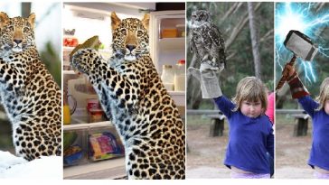 Zdroj : brightside.me