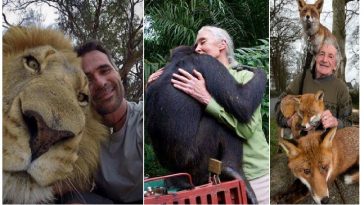 Zdroj : brightside.me