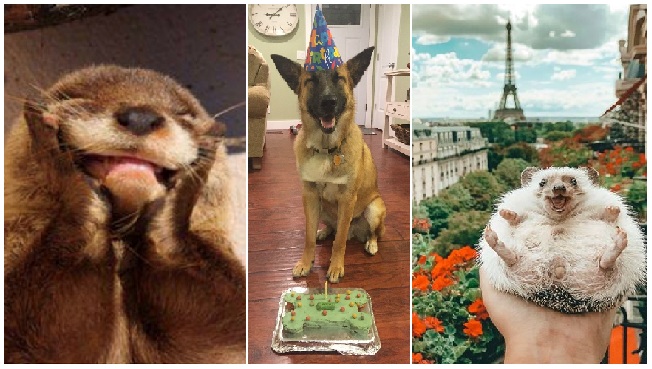 Zdroj : brightside.me