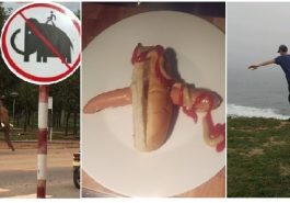 Zdroj : brightside.me