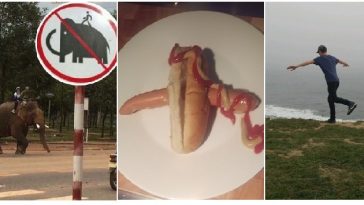 Zdroj : brightside.me