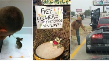 Zdroj : brightside.me