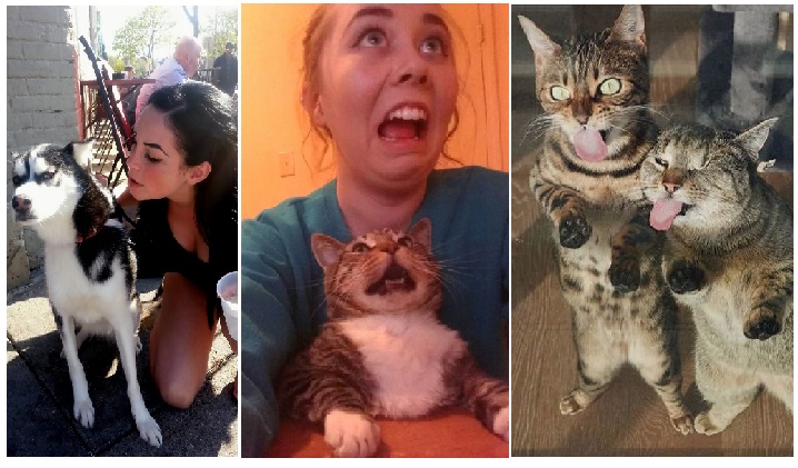 Zdroj : brightside.me