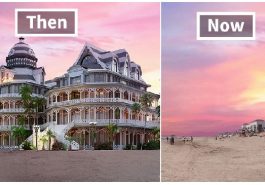 Zdroj : boredpanda.com