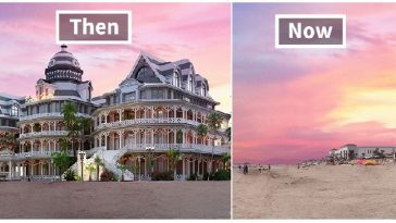 Zdroj : boredpanda.com