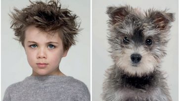 Zdroj : boredpanda.com