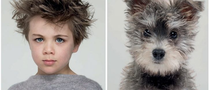 Zdroj : boredpanda.com