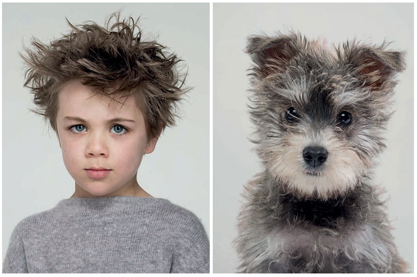 Zdroj : boredpanda.com