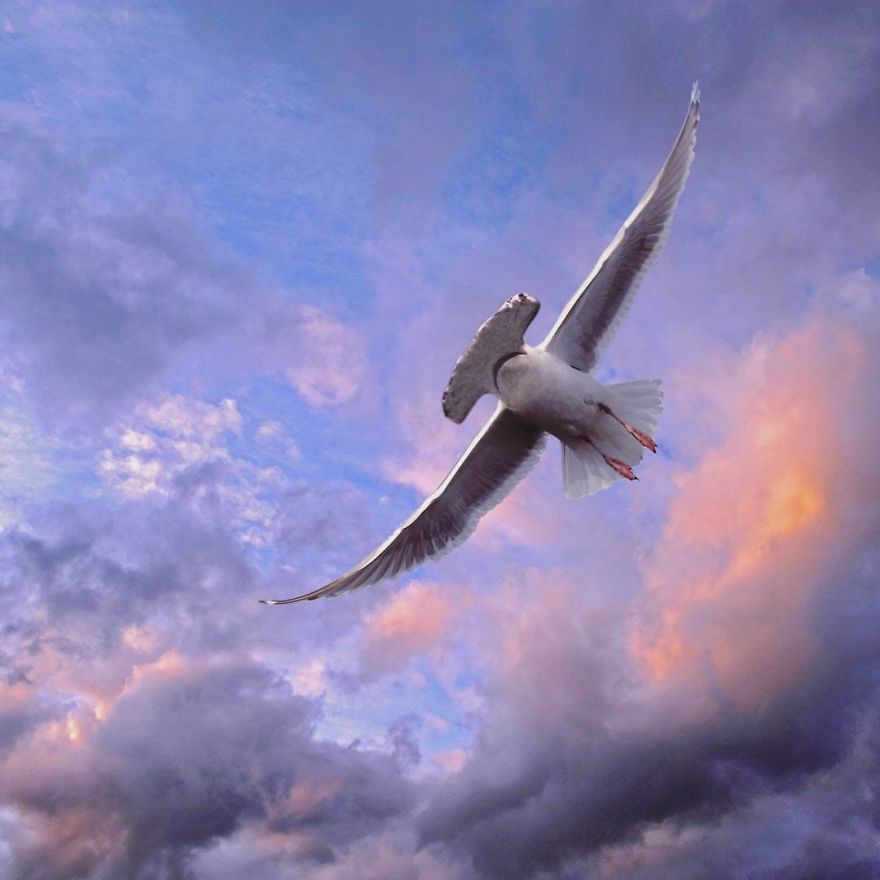 Zdroj: boredpanda.com