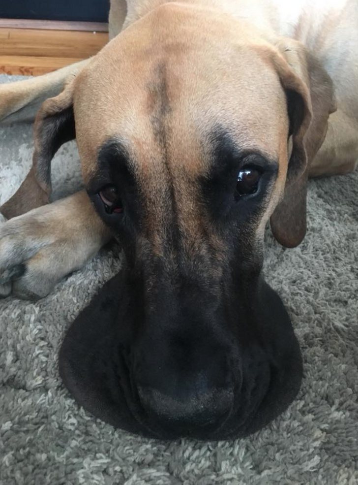 Zdroj : brightside.me