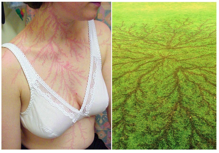 Zdroj: boredpanda.com