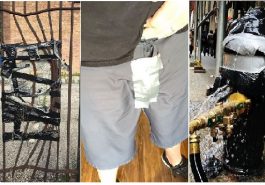 Zdroj : brightside.me