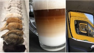 Zdroj : brightside.me