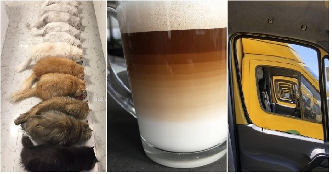 Zdroj : brightside.me