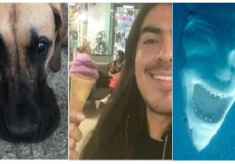 Zdroj : brightside.me