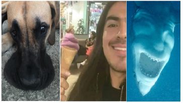 Zdroj : brightside.me