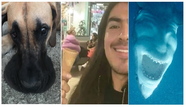 Zdroj : brightside.me