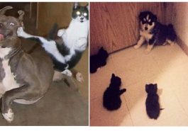 Zdroj : brightside.me