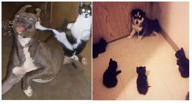 Zdroj : brightside.me