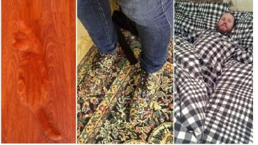 Zdroj : brightside.me