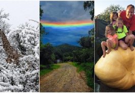 Zdroj : brightside.me