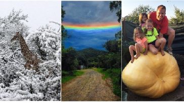 Zdroj : brightside.me