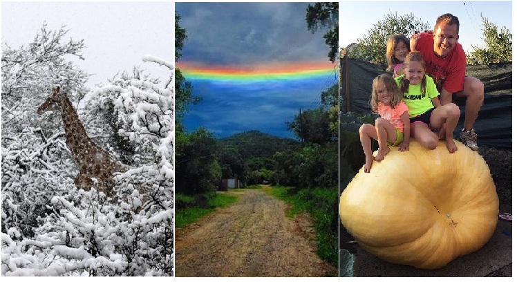 Zdroj : brightside.me