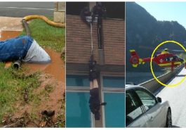 Zdroj : brightside.me