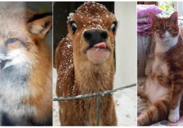 Zdroj : facebook.com/SkullsNThings