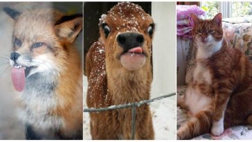 Zdroj : facebook.com/SkullsNThings