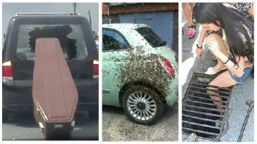 Zdroj : tinhtamvn.net