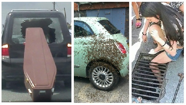 Zdroj : tinhtamvn.net