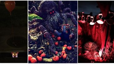 Zdroj : boredpanda.com