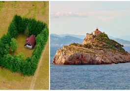 Zdroj : brightside.me