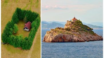 Zdroj : brightside.me