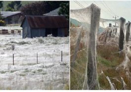 Zdroj : facebook.com/zahradabydleni