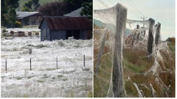 Zdroj : facebook.com/zahradabydleni