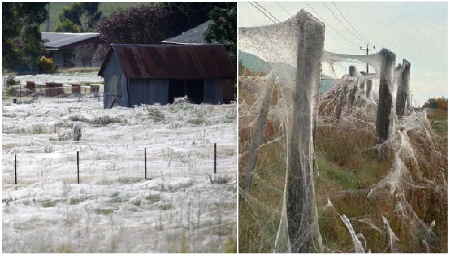 Zdroj : facebook.com/zahradabydleni